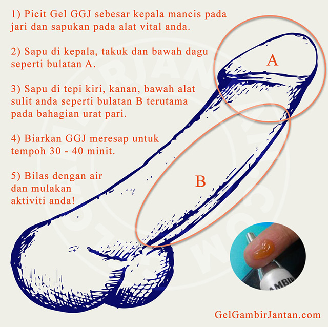 Cara Sapu Gel Gambir Jantan